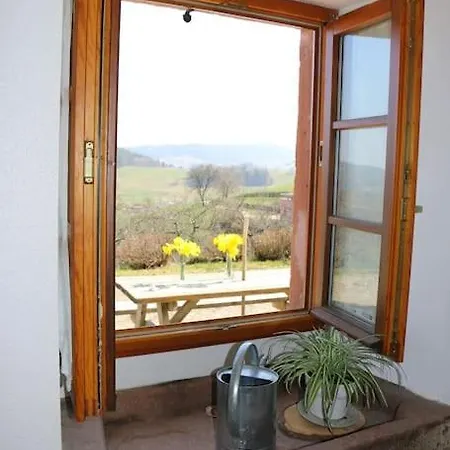 Apartament Fermette Francis A Lapoutroie