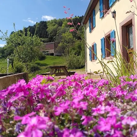 Fermette Francis A Apartment